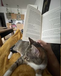 Czytanie książki z kotem